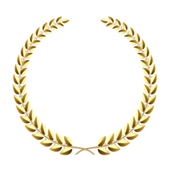 no1-ranking